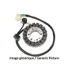Stator ELECTROSPORT Honda CB500F 