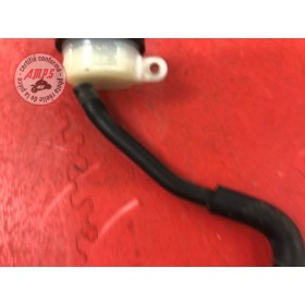 Bocal de liquide de frein arriereHOR60005DV-626-EFB3-E01370507used