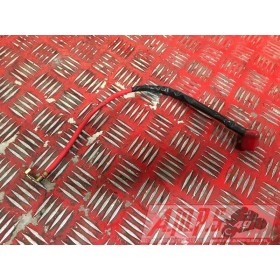 Cable de batterie Triumph 675 Street Triple R 2007 à 2010