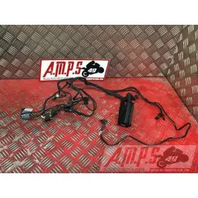 Faiscseau d'injection Bmw F800 R 2015 à 2019F800R17EP-217-DKH5-E4571281used