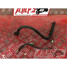 Cable de batterie Yamaha TDM 850 3VD 1991 à 1995TDM85092BL-683-PVB4-B5571398used