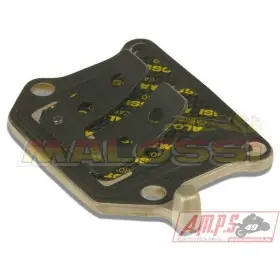 Clapets carbone MALOSSI