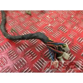 Faisceau électrique principale Yamaha TDM 850 3VD 1991 à 1995TDM85092BL-683-PVB4-B5571390used
