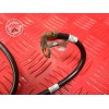 Cable de démarreurSTREET67507CR-600-ANH8-E51375137used