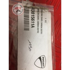 EMBLEME DIAVEL CARBON DESTRO Réf OEM: 43815611A