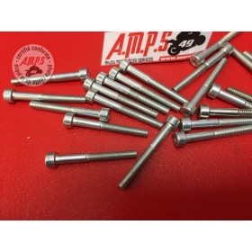 VIS TCEI M4X35 Réf OEM: 77150288B 848 EVO 1198 2009/2013