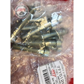VIS TCEI M8X40 Réf OEM: 77151298B MULTISTRADA MONSTER