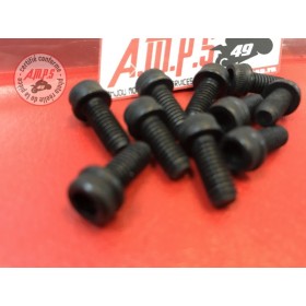 VIS TCEIF M6X14 8,8 Réf OEM: 77156643B SCRAMBLER PANIGALE DIAVEL XDIAVEL