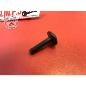VIS SPECIAL Réf OEM: 77214061AA