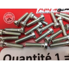 VIS Réf OEM: 77354888B MULTISTRADA PANIGALE 2011/2024