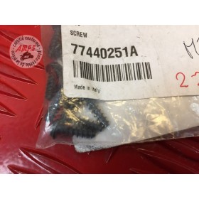VIS Réf OEM: 77440251A MULTISTRADA 1200 950 STREETFIGHTER V4 2013/2020