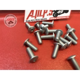 VIS SPECIAL Réf OEM: 77510071AB