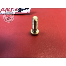 VIS SPECIAL Réf OEM: 77911371A