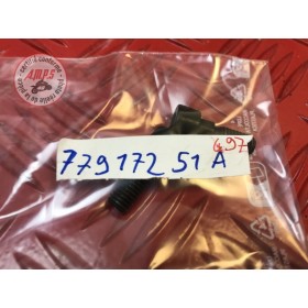 VIS Réf OEM: 77917251A