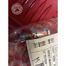 VIS SPECIAL Réf OEM: 77919631A