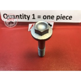 VIS SPECIAL Réf OEM: 77919841AA