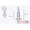 Ampoule V PARTS H1 12V 55W