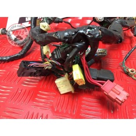 Faisceau électrique principale Honda CBR 954 RR Fireblade 2002 à 2003