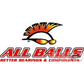 Kit joints de différentiel ALL BALLS