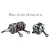 VILEBREQUIN COMPLET POUR YAMAHA 1100 3 CYLINDRES 1995-97