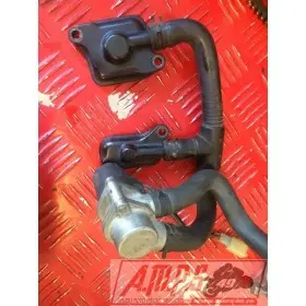 Daytona 675 06 07 08 