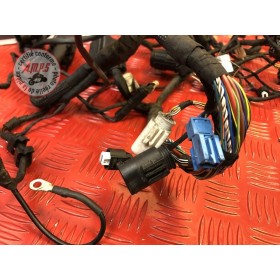 Faisceau électrique principaleK1200GT06DF-853-QBB6-A41380977used