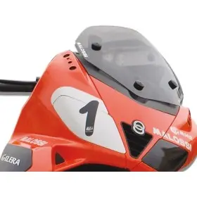 Bulle type sport fumée Malossi APRILIA SR MAX / GILERA NEXUS
