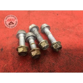 Vis de boucle arriere Triumph 955I Daytona 1999 à 2001