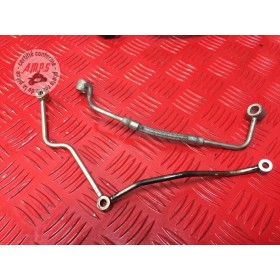 Durite d'huileTIGER105007CH-244-DKB6-E41383601used