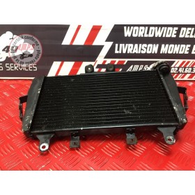 Radiateur d'eauTIGER105007CH-244-DKB6-E41383637used