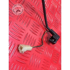 Cable de masse Kawasaki ER6 F 2006 à 2008