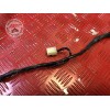 Faisceau électrique principaleER6N12CM-228-MCB3-C21385357used