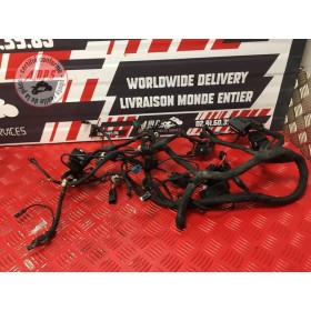 Faisceau électrique principaleK1200R05GN-718-PJH5-B21386233used