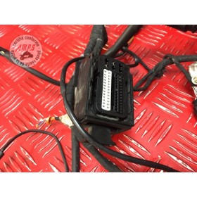 Faisceau électrique principaleK1200R05GN-718-PJH5-B21386233used