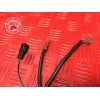 Cable masseGSF120003EE-817-FCB2-A21387621used