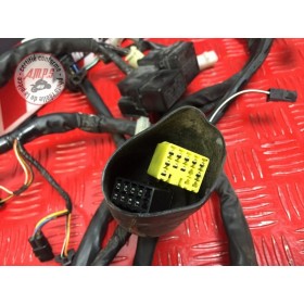 Faisceau électrique principaleGSF120003EE-817-FCB2-A21387619used