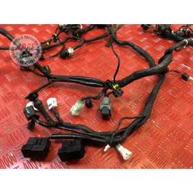 Faisceau électrique principale119913CT-714-ZKH6-B31388711used