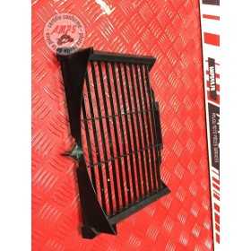Grille de radiateur 