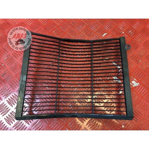 Grille de radiateur 