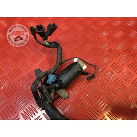 Faisceau électrique principale 