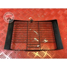 Grille de radiateur 