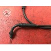 Cable de starter 