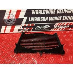 Grille de radiateur