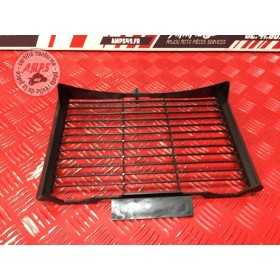 Grille de radiateur 