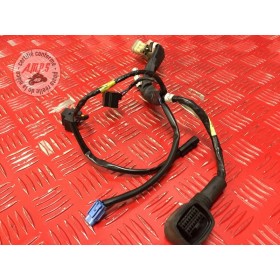 Faisceau électrique avant 