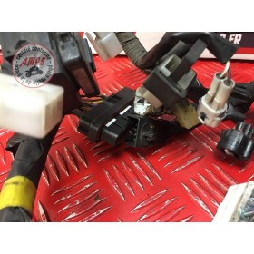 Faisceau électrique principale 