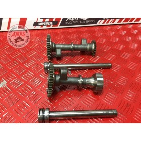 Paire d'Arbre d'équilibreur 