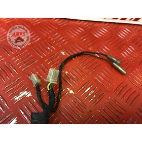 Faisceau électrique avant 