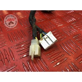 Faisceau électrique principale 