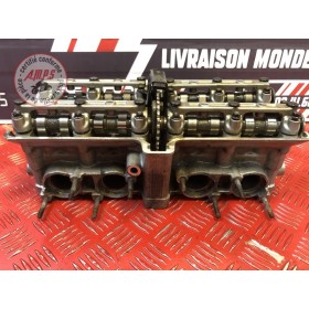 Culasse avec arbre a came 